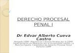 DERECHO PROCESAL PENAL I