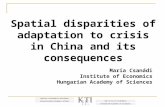 Spatial disparities of adaptation to crisis in China and its consequences