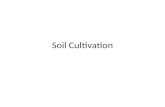Soil Cultivation