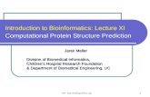 Introduction to Bioinformatics: Lecture XI Computational Protein Structure Prediction