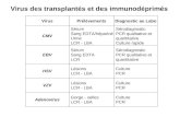 Virus des transplantés et des immunodéprimés