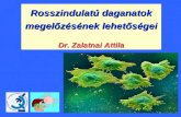 Rosszindulatú daganatok megelőzésének lehetőségei Dr. Zalatnai Attila