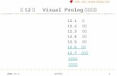 第 12 章   Visual Prolog 程序元素