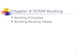 Chapter 9 TCP/IP Routing