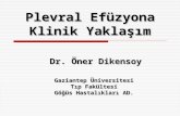Dr. Öner Dikensoy
