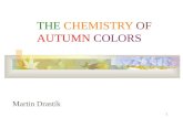THE  CHEMISTRY  OF  AUTUMN  COLORS