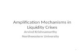 Amplification Mechanisms in Liquidity Crises