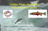 Snake River steelhead Management goals