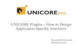 UNICORE Plugins – How to Design Application Specific Interfaces