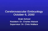 Cerebrovascular Embryology October 6, 2000