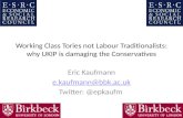 Working Class  Tories not Labour Traditionalists: why UKIP is damaging the Conservatives