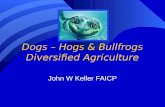 Dogs – Hogs & Bullfrogs Diversified Agriculture
