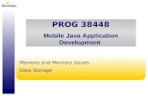 Memory and Memory Issues Data Storage