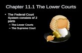 Chapter 11.1 The Lower Courts