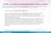 Tooth survival of endodontically treated molars
