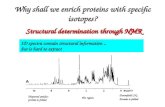 Why shall we enrich proteins with specific isotopes?
