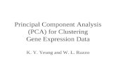 Principal Component Analysis (PCA) for Clustering Gene Expression Data