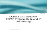 CCNA 1 v3.1 Module 9  TCP/IP Protocol Suite and IP Addressing