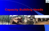 Capacity Building Needs