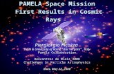 PAMELA Space Mission  First Results in Cosmic Rays