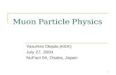 Muon Particle Physics