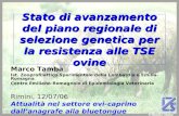 Stato di avanzamento del piano regionale di selezione genetica per la resistenza alle TSE ovine