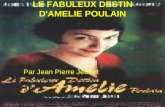 LE FABULEUX DESTIN D'AMELIE POULAIN
