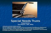 Special Needs Trusts Prepared by: Tina Myers, CPA, MTax