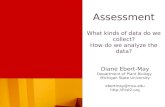 Assessment What kinds of data do we collect? How do we analyze the data?