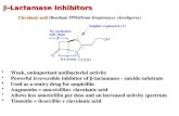 b - Lactamase  Inhibitors