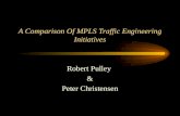 A Comparison Of MPLS Traffic Engineering Initiatives