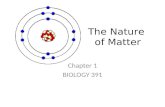 The Nature  of Matter
