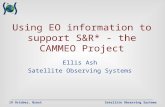 Using EO information to support S&R* - the CAMMEO Project