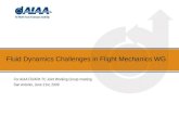 Fluid Dynamics Challenges in Flight Mechanics WG