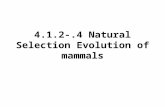 4.1.2-.4 Natural Selection Evolution of mammals