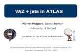W/Z + jets in ATLAS