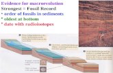 Evidence for macroevolution  Strongest = Fossil Record  order of fossils in sediments