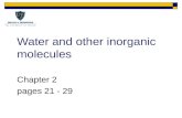 Water and other inorganic molecules