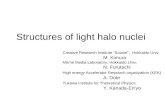 Structures of light halo nuclei