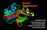 Serin Proteases