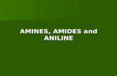 AMINES, AMIDES and ANILINE