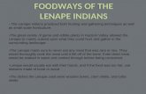 FOODWAYS OF THE LENAPE INDIANS