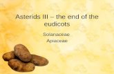 Asterids III – the end of the eudicots
