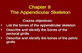Chapter 8  The Appendicular Skeleton