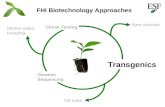 FHI Biotechnology Approaches