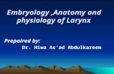 Embryology ,Anatomy and       physiology of Larynx
