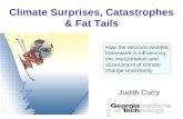 Climate Surprises, Catastrophes & Fat Tails