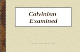 Calvinism  Examined