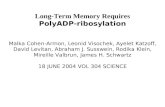 Long-Term Memory Requires PolyADP-ribosylation Malka Cohen-Armon, Leonid Visochek, Ayelet Katzoff,