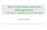 MIS 3150 Data and Info Management  Lecture 1 - Database fundamentals